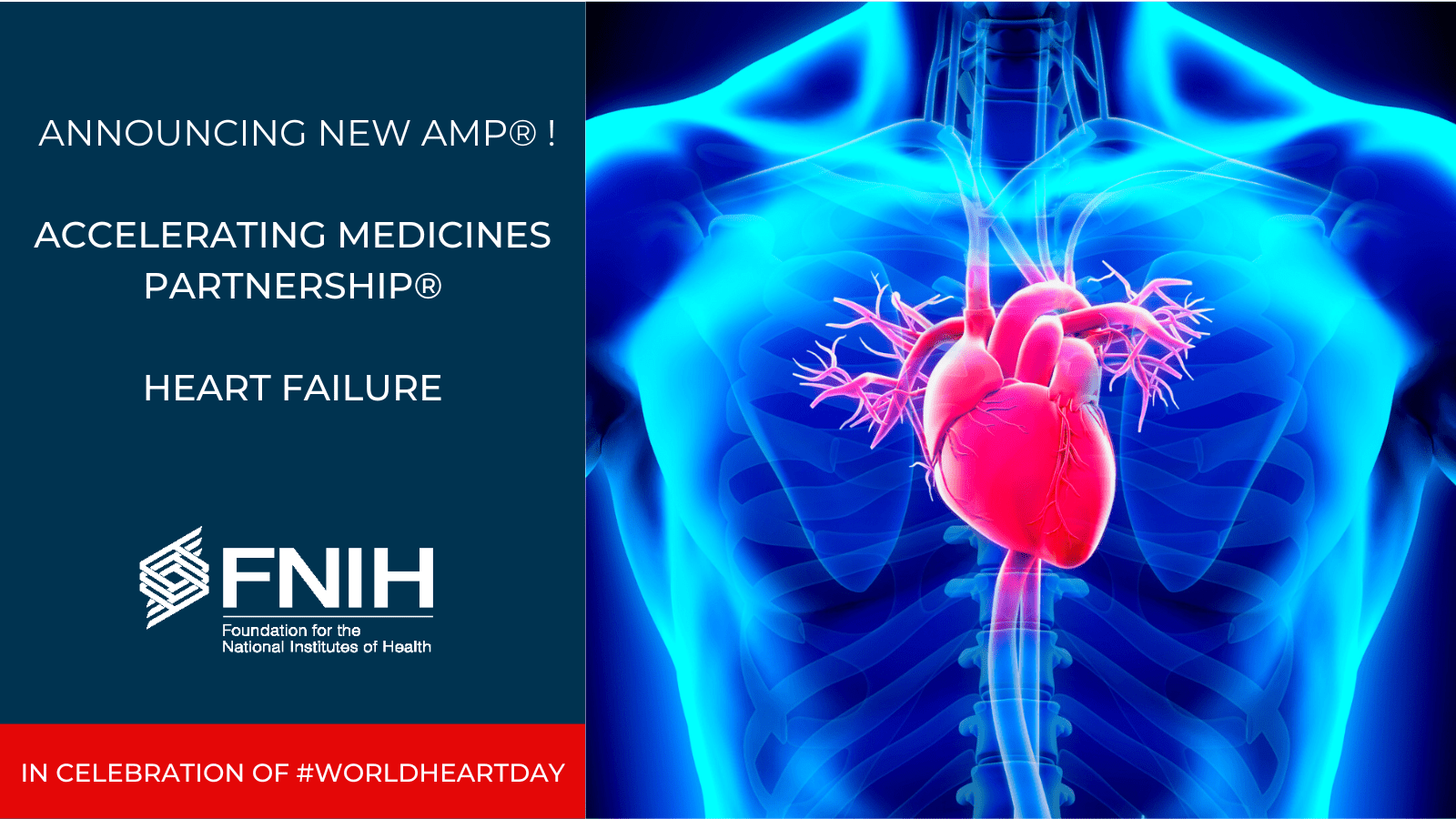 Accelerating Medicines Partnership® Heart Failure (AMP® HF) Toolkit